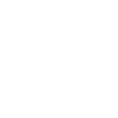 Coion Logo